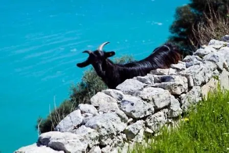 Montesaraceno Mattinata