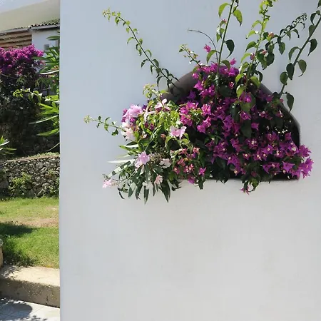 Διαμέρισμα Montesaraceno *