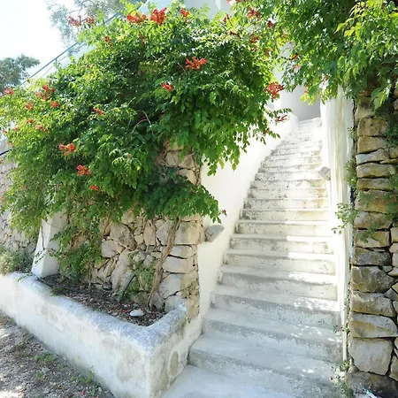 Montesaraceno Mattinata