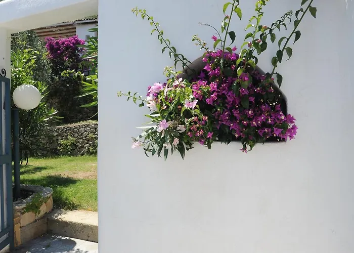 Appartement Montesaraceno *