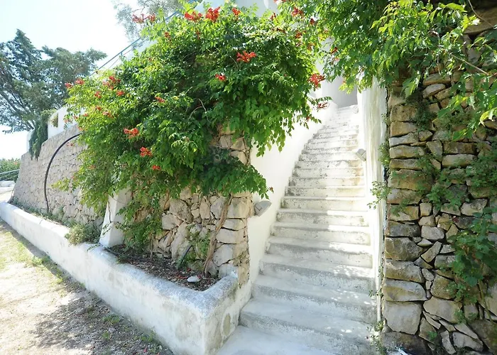 Montesaraceno Mattinata